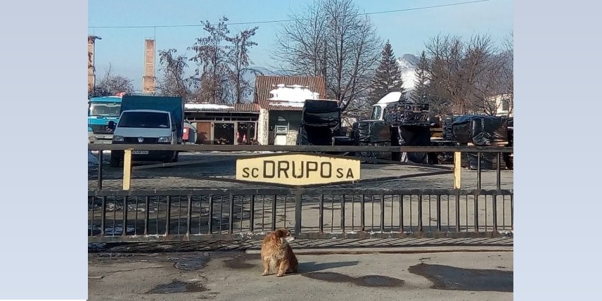 drupo1