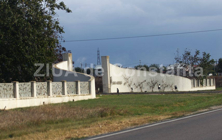 murfatlar-crama-murfatlar-watermark