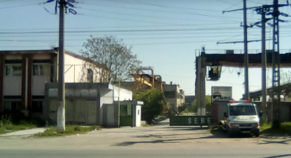 serena-sediu-e1651072451921