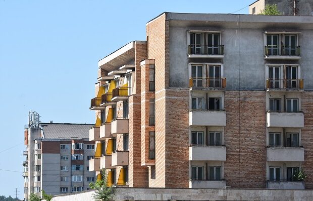 arbori-hotel-semenic-620×400