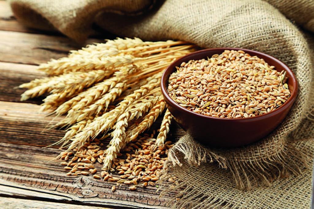 expert-in-comertul-cu-cereale-intelegem-culoarele-de-solidaritate-dar-marfa-din-ucraina-trebuia-sa-fie-doar-in-tranzit-si-atat-va-fi-un-faliment-pentru-orice-producator-roman-care-nu-e-suf